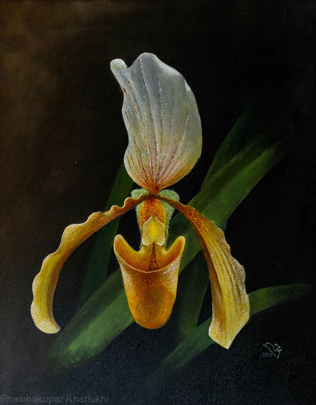 Orchid Series 1 