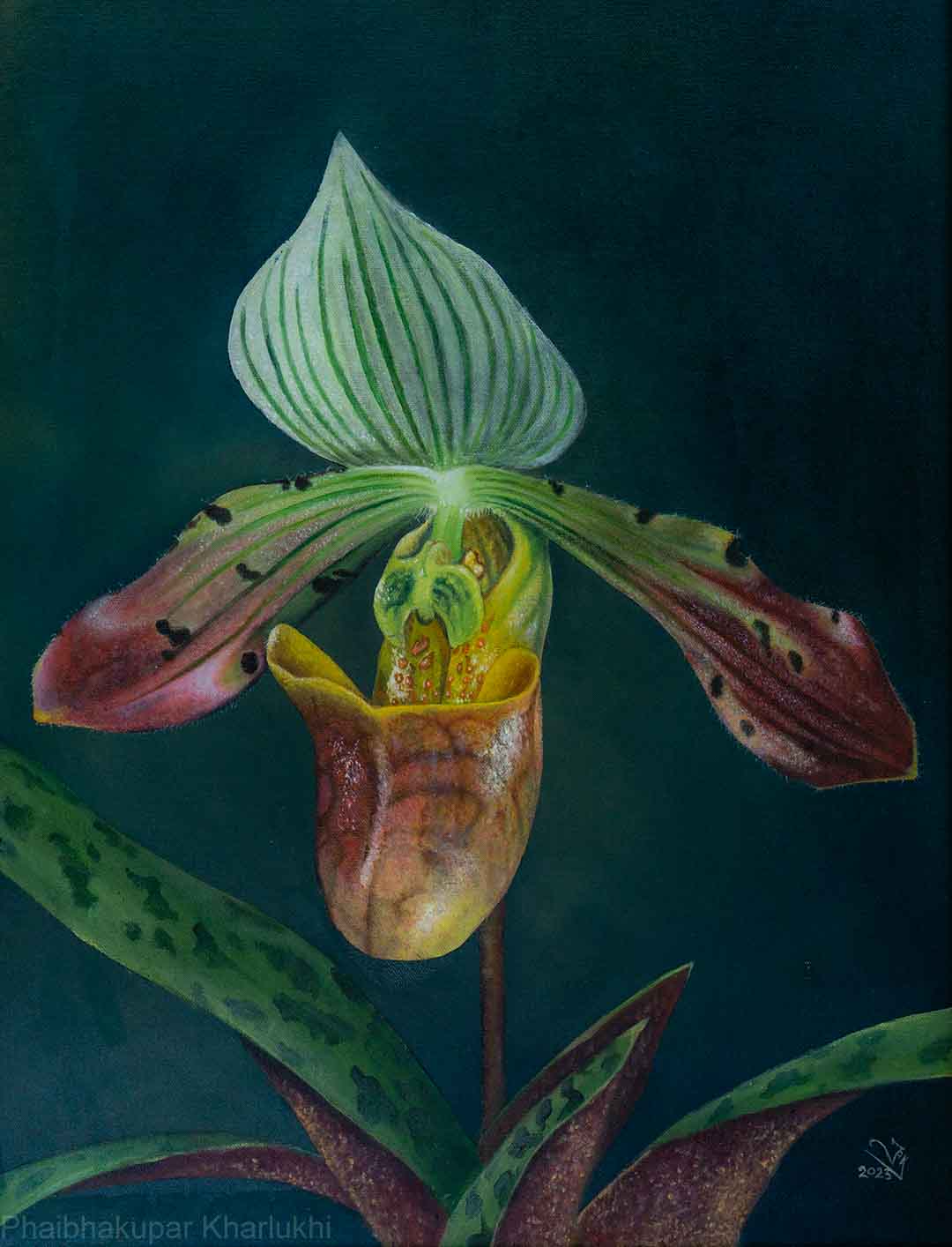 Orchid Series 2 