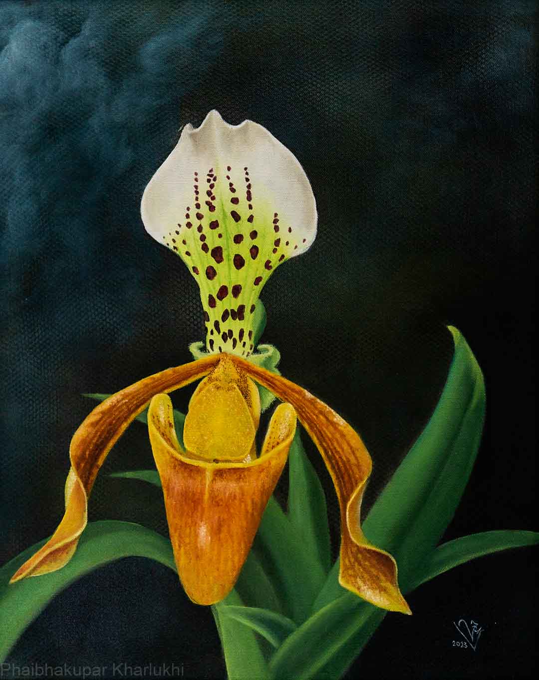 Orchid Series 3 