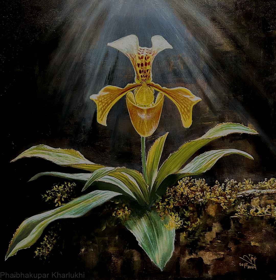 Orchid Series 4