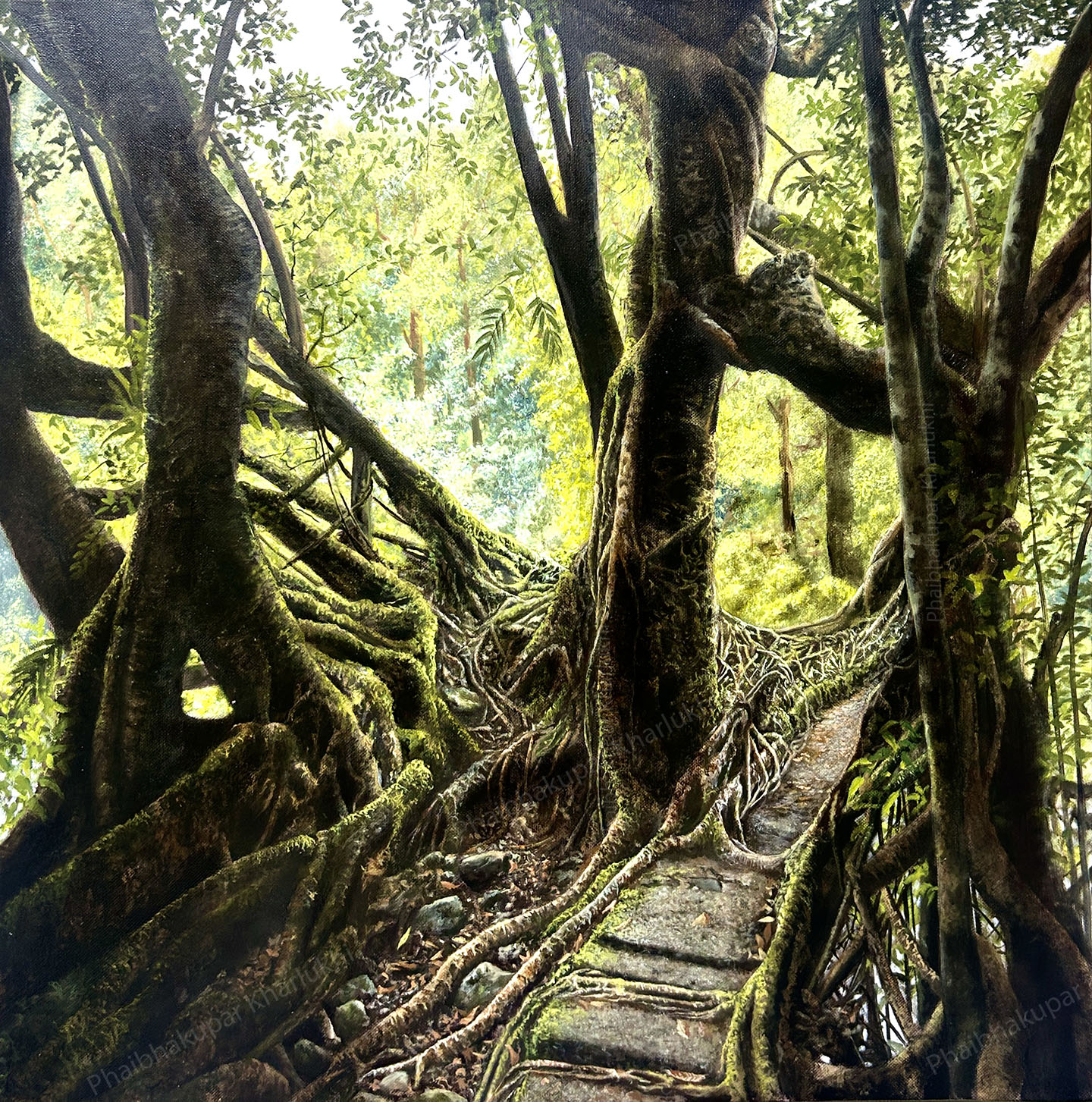 Double Lane Root Bridge