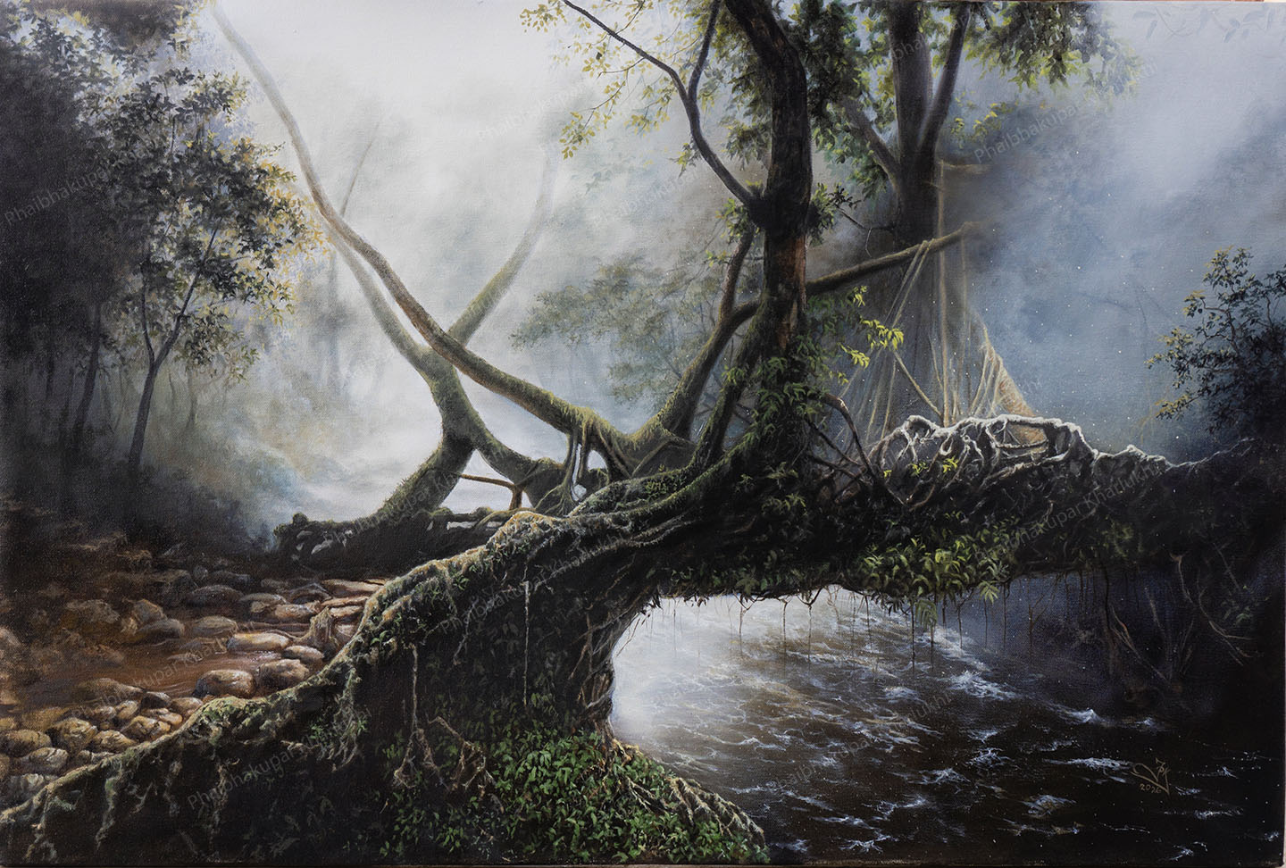 Nohwet Root Bridge
